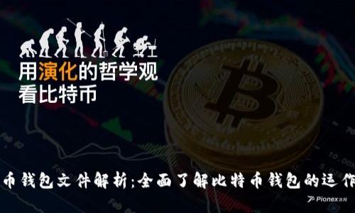 比特币钱包文件解析:全面了解比特币钱包的运作机制