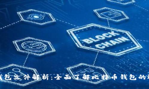 比特币钱包文件解析:全面了解比特币钱包的运作机制