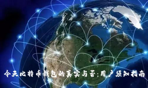 今天比特币钱包的真实与否:用户须知指南