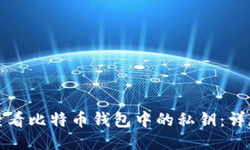 标题
如何查看比特币钱包中的私钥:详尽指南