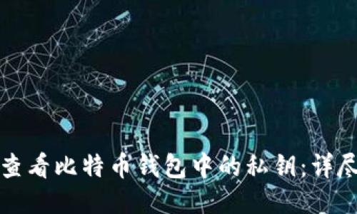 标题
如何查看比特币钱包中的私钥:详尽指南