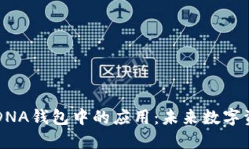 区块链技术在DNA钱包中的应用:未来数字资产管理的革新