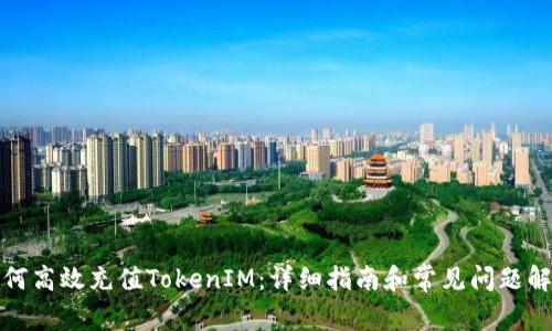 如何高效充值TokenIM:详细指南和常见问题解答