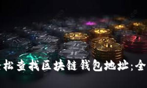 如何轻松查找区块链钱包地址:全面指南