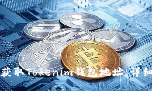如何获取Tokenim钱包地址:详细指南