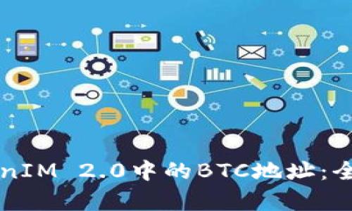 深入了解TokenIM 2.0中的BTC地址:全面解析与应用