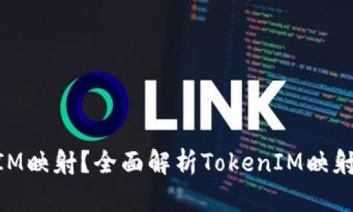 什么是TokenIM映射?全面解析TokenIM映射机制及其应用