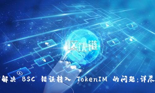 如何解决 BSC 错误转入 TokenIM 的问题:详尽指南