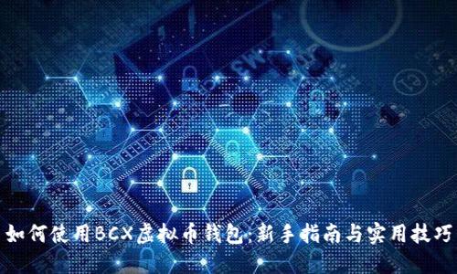 如何使用BCX虚拟币钱包:新手指南与实用技巧