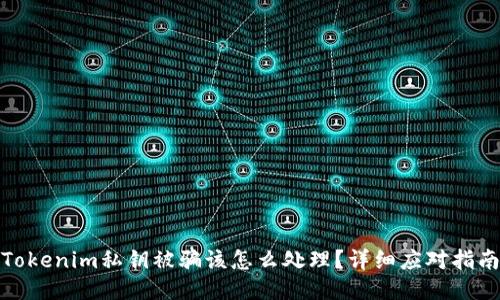 Tokenim私钥被骗该怎么处理?详细应对指南