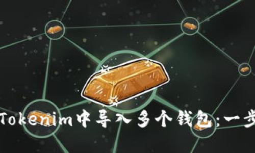 如何在Tokenim中导入多个钱包:一步步指南
