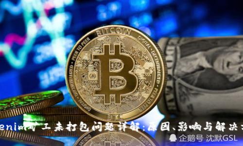Tokenim矿工未打包问题详解:原因、影响与解决方案
