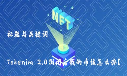 标题与关键词
Tokenim 2.0倒闭后我的币该怎么办?