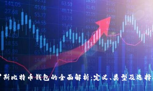 俄罗斯比特币钱包的全面解析:定义、类型及选择指南