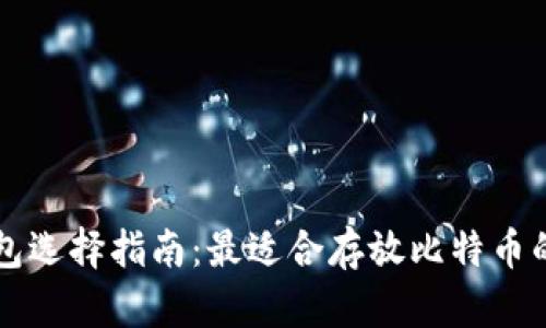 比特币钱包选择指南:最适合存放比特币的钱包类型