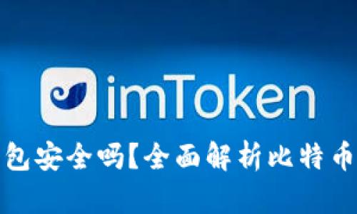 比特币接收钱包安全吗?全面解析比特币钱包的安全性