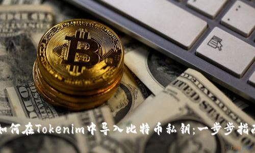 如何在Tokenim中导入比特币私钥:一步步指南