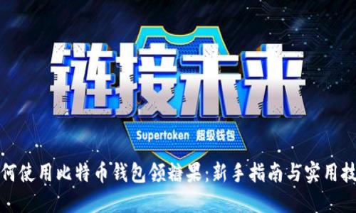 如何使用比特币钱包领糖果:新手指南与实用技巧