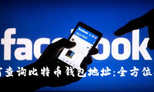 如何查询比特币钱包地址:全方位指南