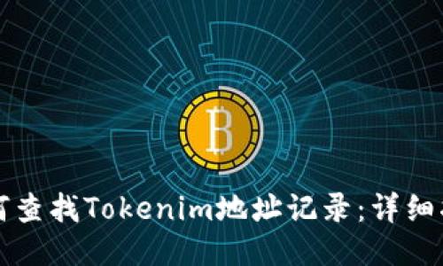如何查找Tokenim地址记录:详细指南