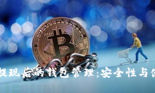 比特币提现后的钱包管理:安全性与使用指南