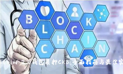 Tokenim 2.0钱包质押CKB：全面指南与最佳实践