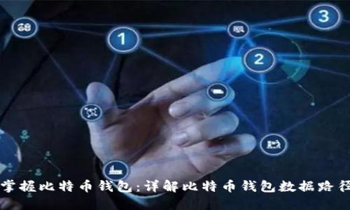 掌握比特币钱包:详解比特币钱包数据路径