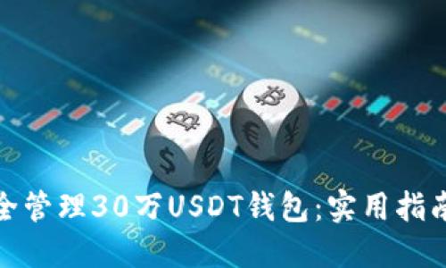 如何安全管理30万USDT钱包:实用指南与建议