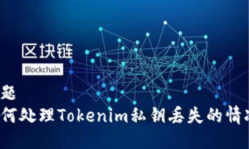 标题
如何处理Tokenim私钥丢失的情况?