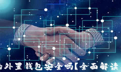 存虚拟币的外置钱包安全吗?全面解读与用户指南