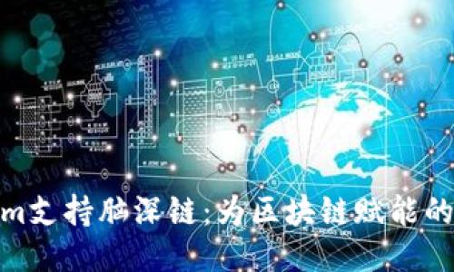Tokenim支持脑深链:为区块链赋能的新机遇