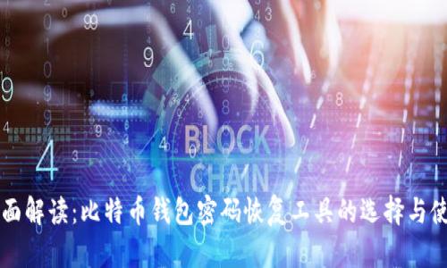 全面解读:比特币钱包密码恢复工具的选择与使用