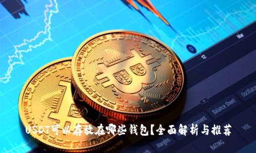 USDT可以存放在哪些钱包?全面解析与推荐