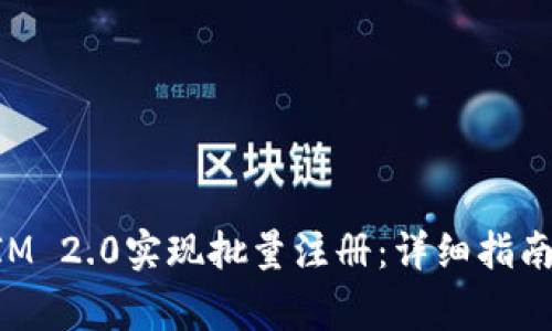 如何使用TokenIM 2.0实现批量注册:详细指南与常见问题解答
