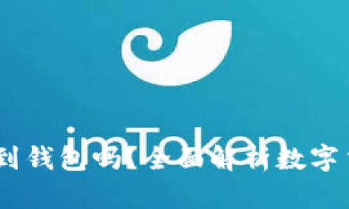 USDT可以存到钱包吗?全面解析数字货币存储方式