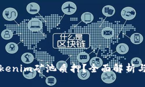 什么是Tokenim矿池质押?全面解析与投资指南