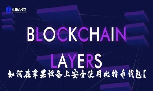 如何在苹果设备上安全使用比特币钱包?
