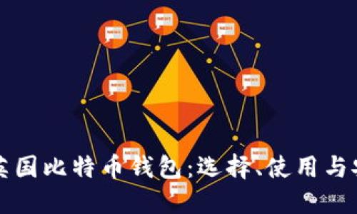 全面了解英国比特币钱包:选择、使用与安全性指南