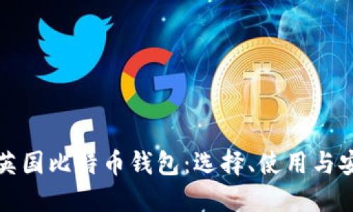 全面了解英国比特币钱包:选择、使用与安全性指南