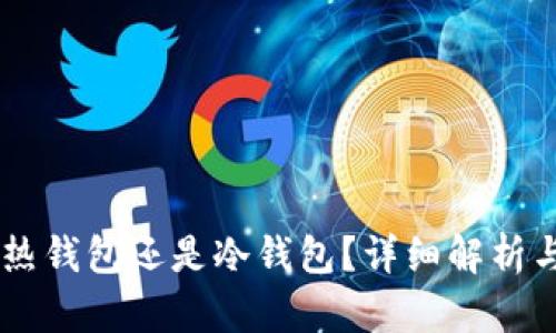 Tokenim:热钱包还是冷钱包?详细解析与使用指南
