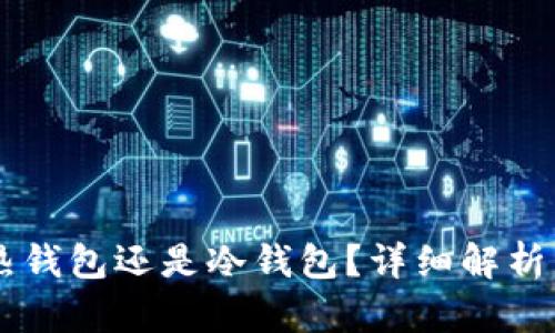 Tokenim:热钱包还是冷钱包?详细解析与使用指南
