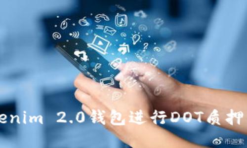 如何通过Tokenim 2.0钱包进行DOT质押,获取高收益?