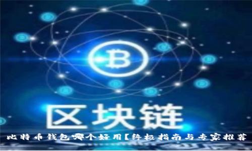比特币钱包哪个好用?终极指南与专家推荐
