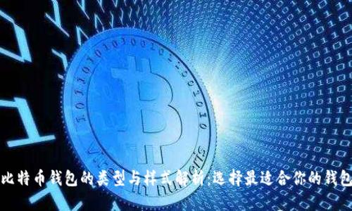 比特币钱包的类型与样式解析:选择最适合你的钱包