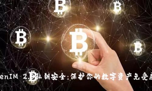 TokenIM 2.0私钥安全:保护你的数字资产免受威胁