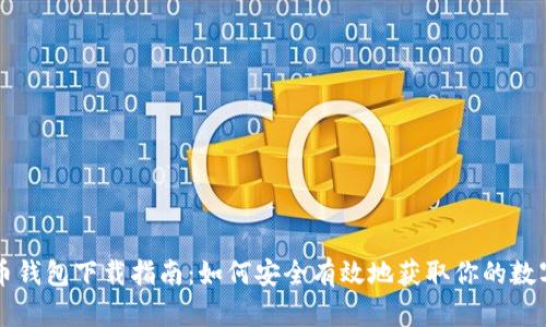 比特币钱包下载指南:如何安全有效地获取你的数字资产