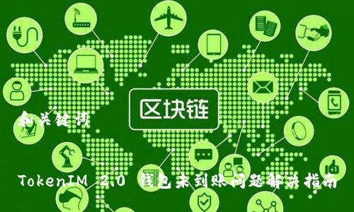 和关键词
TokenIM 2.0 钱包未到账问题解决指南