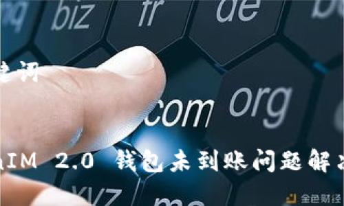 和关键词
TokenIM 2.0 钱包未到账问题解决指南