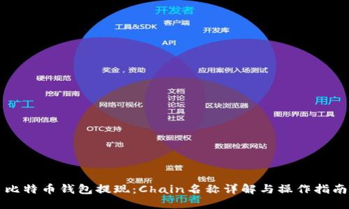 比特币钱包提现:Chain名称详解与操作指南