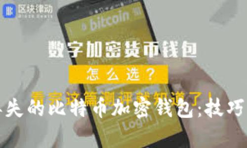 如何找回丢失的比特币加密钱包:技巧与步骤解析